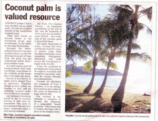 Coconut Palm Plant Care