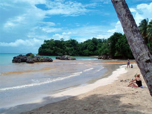 Coconut Palms Resort Dominican