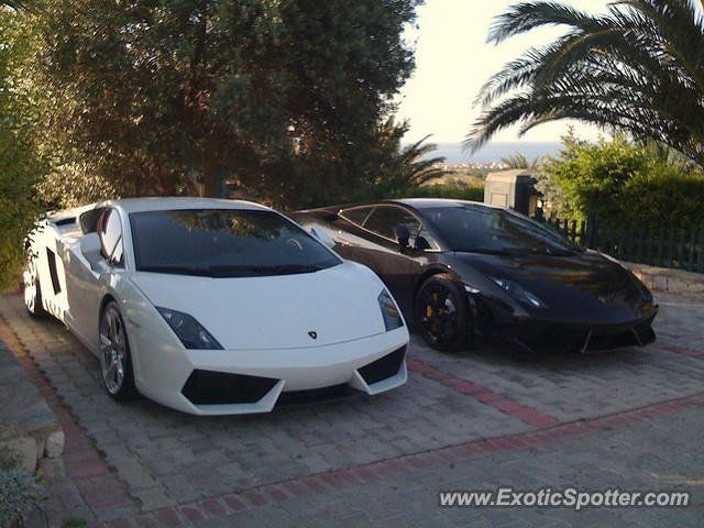 Lamborghini Gallardo Black And White