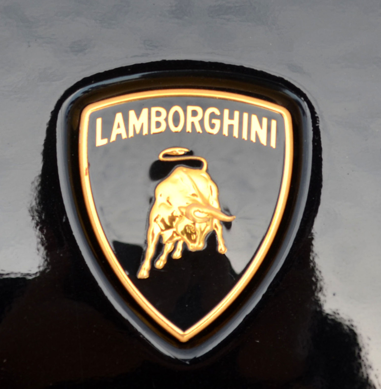 Lamborghini Mercy Logo