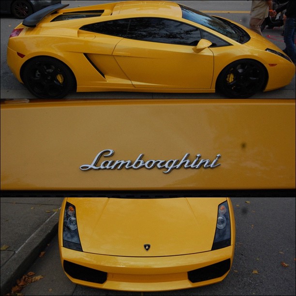 Lamborghini Mercy Logo