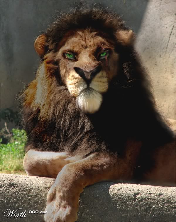 Lion King Quotes Scar