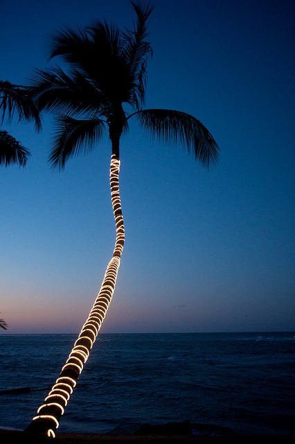 The Coconut Palms Resort Cabarete Dominican Republic
